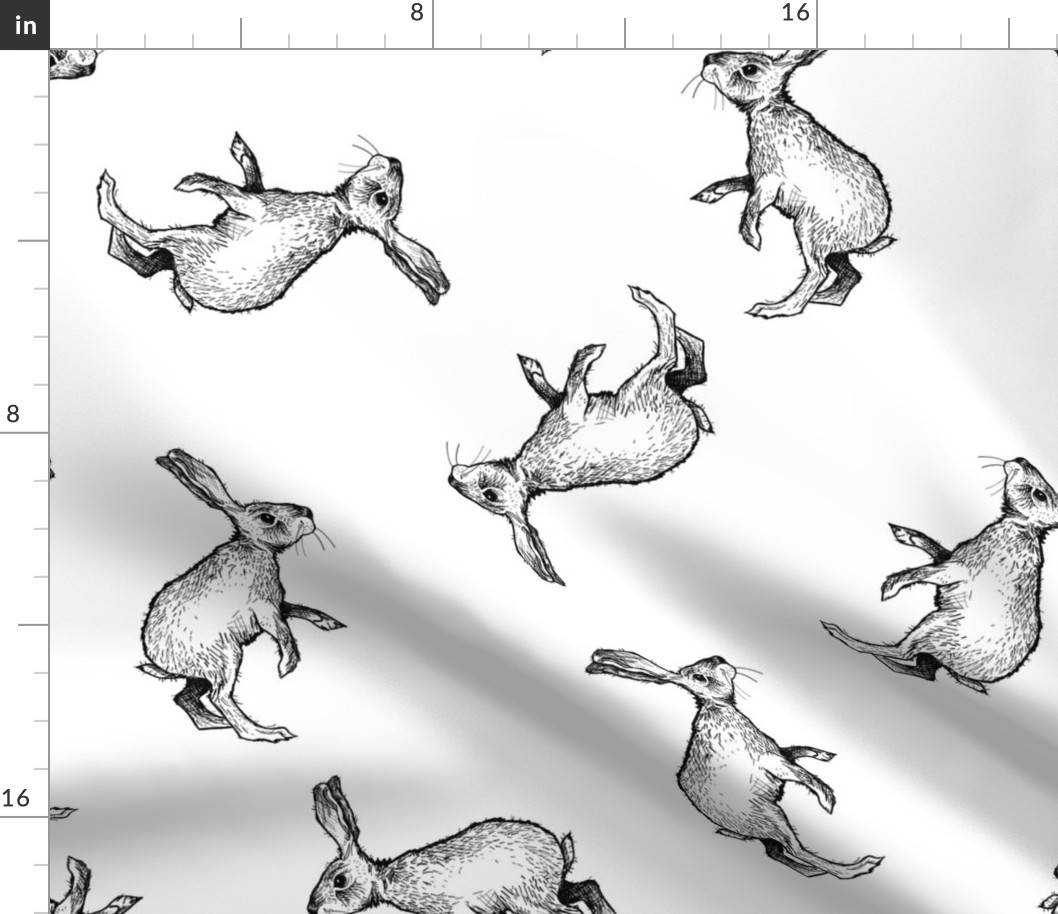 Jackrabbits - Black Ink on White - Medium Scale