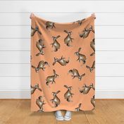 Brown Jackrabbits on Coral - Larger Scale