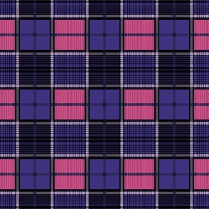 Neon Plaid Check Tartan Scottish kilt