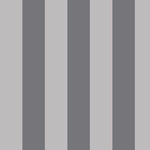 Large Pebble Grey Awning Stripe Pattern Vertical in Mouse Grey