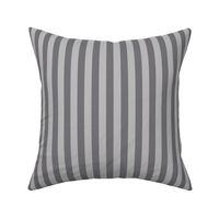 Pebble Grey Awning Stripe Pattern Vertical in Mouse Grey