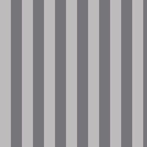 Pebble Grey Awning Stripe Pattern Vertical in Mouse Grey