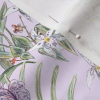 Purple and White Orchids in Colored Pencil 2