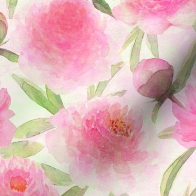 Watercolor pink peonies