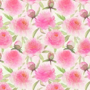 Watercolor pink peonies