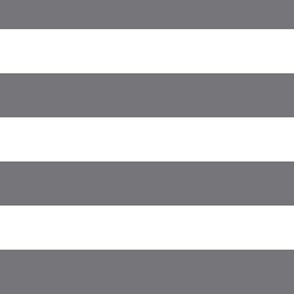 Large Mouse Grey Awning Stripe Pattern Horizontal in White