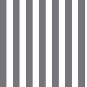 Mouse Grey Awning Stripe Pattern Vertical in White