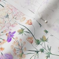 Wild tenderness - hand drawn watercolor backyard flowers pattern design