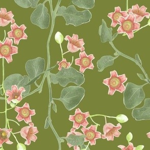 Kurrajong & Saltbush Florals / Green