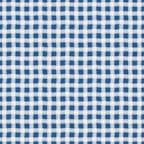 Aegean Blue Texture Wonky Gingham