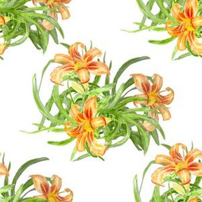 orange day lilies watercolor 24 x 24 A2