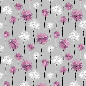  Wild Carnation Flowers pink gray