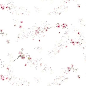 Cherry Blossom Medium Scale