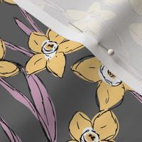 Raw daffodils boho garden daffodil blossom spring love nursery yellow lilac charcoal gray