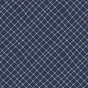 Small Fish Net in Navy and White