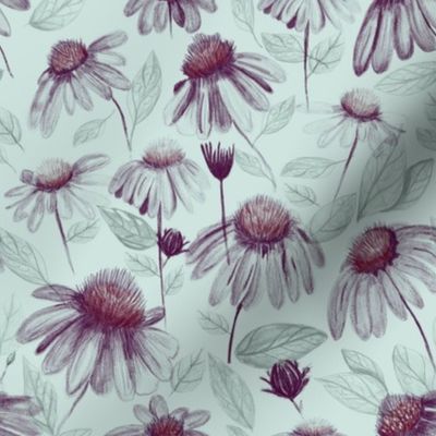 Sketched purple coneflowers