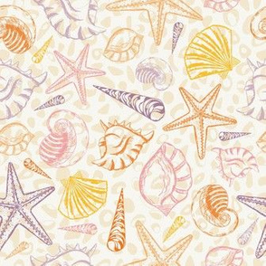 Seashore Seashells