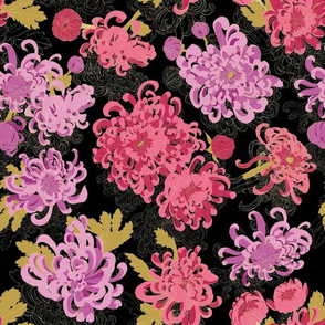 Chrysanthemum - Black Medium