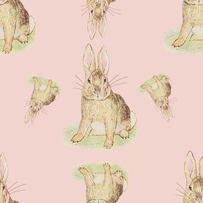 Beatrix Potter Single Rabbit Pink