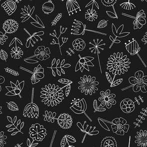 Hand Drawn Botanicals on Black