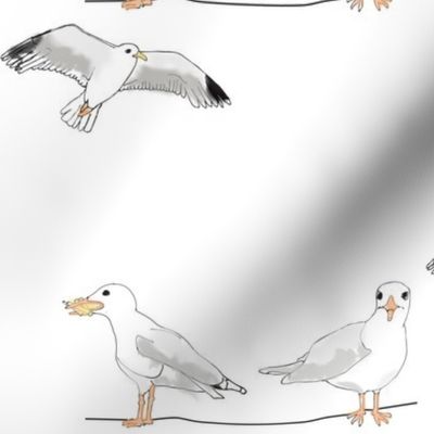 Bridlington - Seagulls
