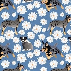 small scale //  Australian Cattle Dog Blue Heeler dogs with white daisy flowers in denim blue background