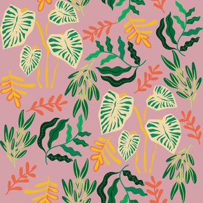 Rubber Plant and Eucalyptus No. 3 Dusty Pink