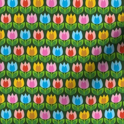 Tiptoe* (Green Disaster) || spring tulips