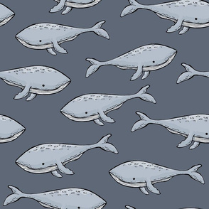 Blue Whale - Grey Blue