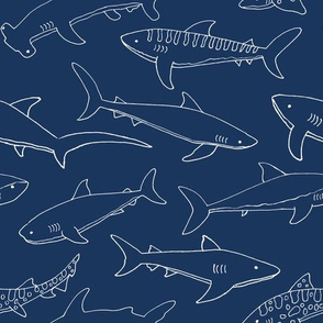 Types of Sharks - Blue