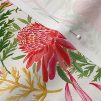 Painted Protea Small