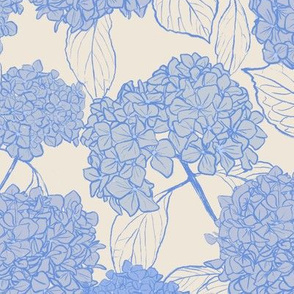 Dried Hydrangeas fields - Blue large 