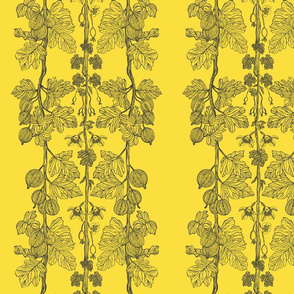 gooseberry - yellow - medium