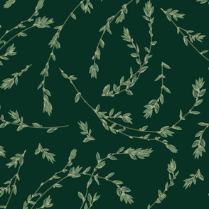 knotweed - green