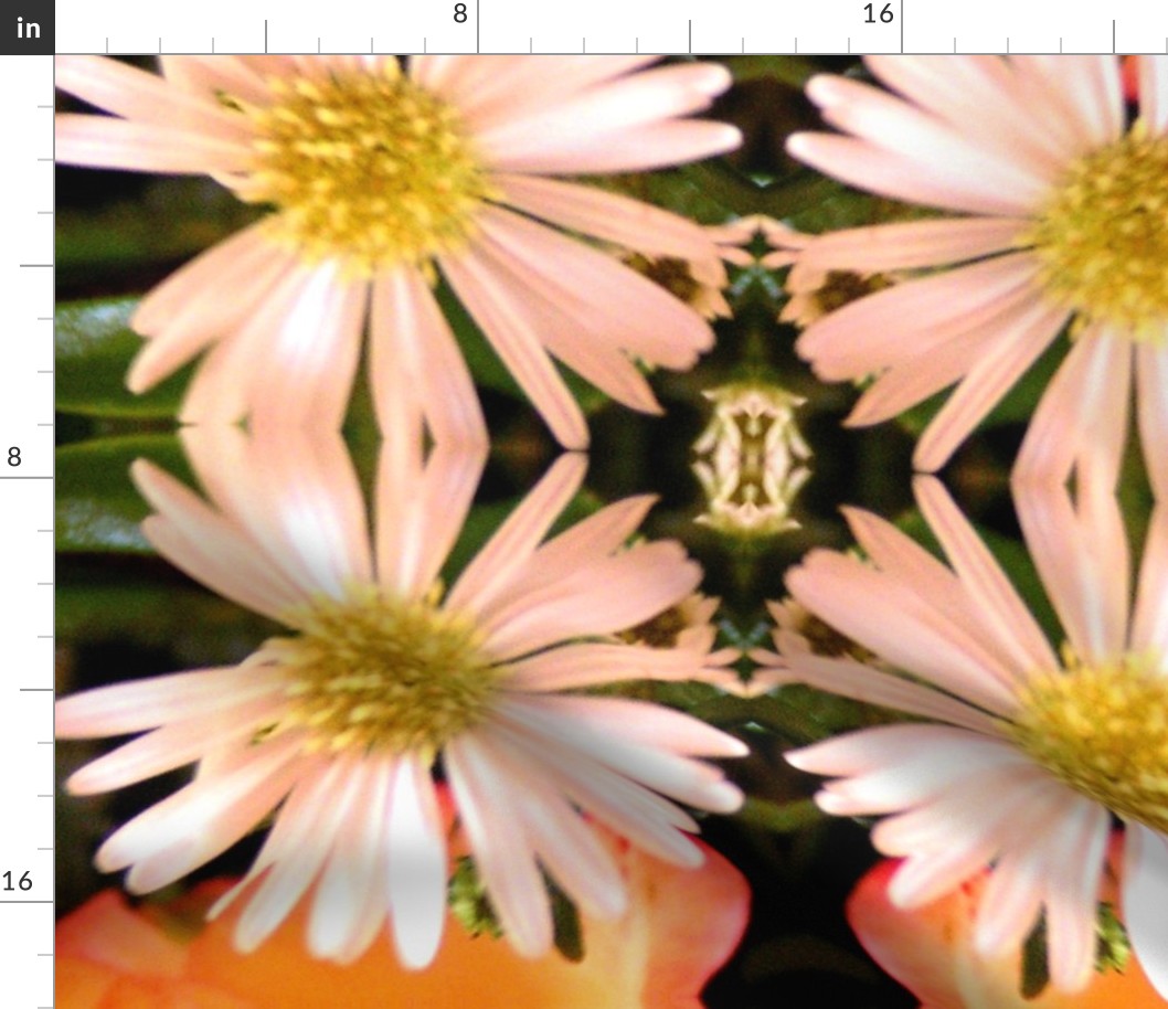 Photographic Daisy Print