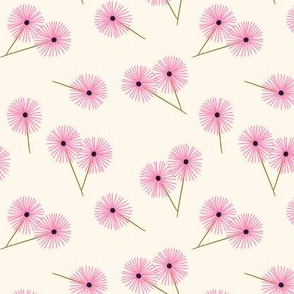 Dandelions, Pink