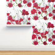 watercolor red poppy field on white