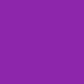 Color Map v2.1 S5 #8231A5 -  Majestic Purple