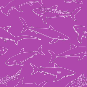 Types of Sharks - Pink