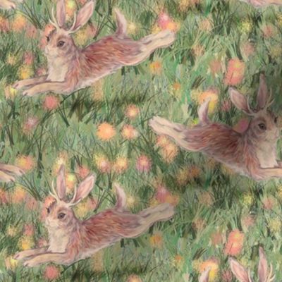 Jackalopes in the Cotton Candy Field