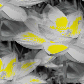 Japanese Yellow & Gray Lotus