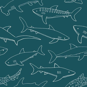 Types of Sharks - Teal
