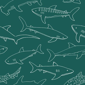 Types of Sharks - Green