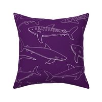 Types of Sharks - Purple