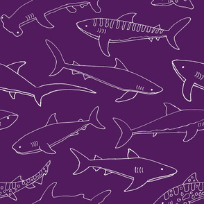 Types of Sharks - Purple