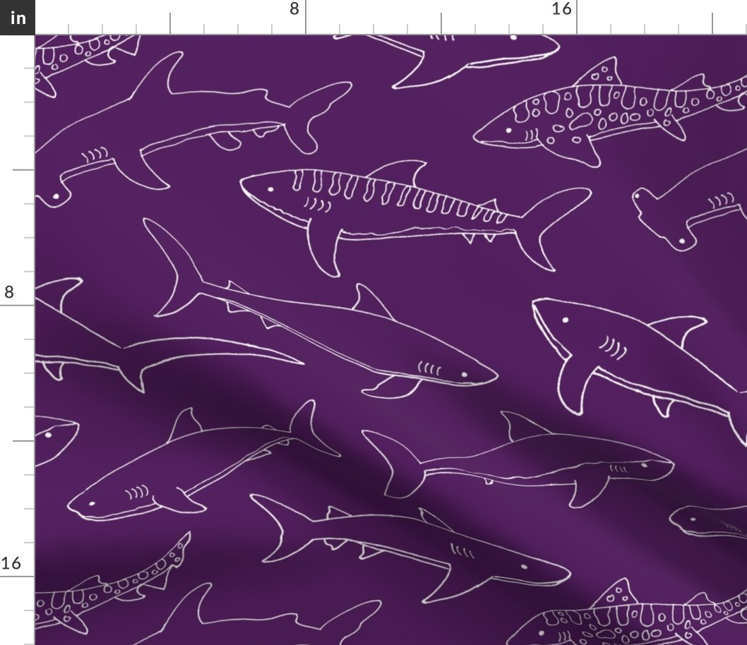 Types of Sharks - Purple