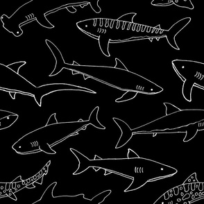 Types of Sharks - Black and White