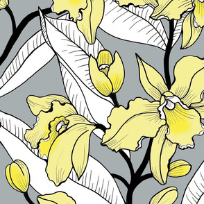jumbo-Yellow and gray Pantone 2021 Orchid