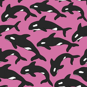 Orca Pod - Pink