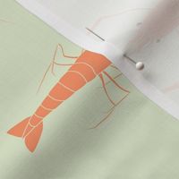 large - shrimp on mint green